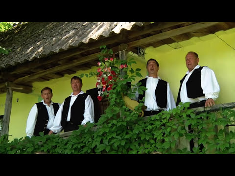 Rajko Suhodolčan i Oktet Kaj - Stara hiža