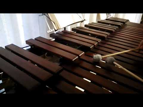Inni di lode N°324: Qui nel mondo v'è dolore Marimba Cover