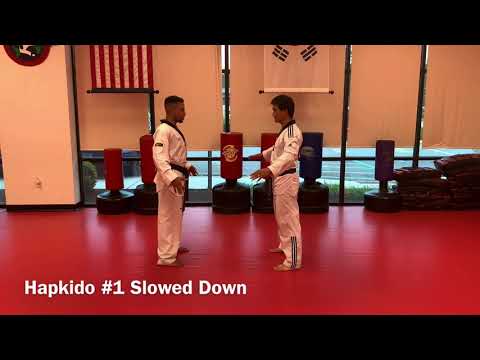 Black Belt Level 2 Hapkido Step-by-step