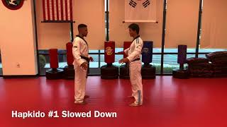 Black Belt Level 2 Hapkido Step-by-step