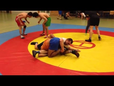 Brazilian Jiu jitsu - Judo - Grappling and Wrestling skills like mma in ufc