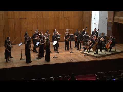 Kamerni orkestar Muzikon - P.I. Tchaikovsky - String serenade