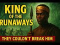 Zumbi Dos Palmares The King Of The Runaways Untold African History