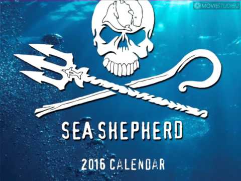 Sea Shepherd 2016