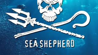 Sea Shepherd 2016