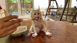 Mom Spoon Feed Yummmy Dessert For Lil Skinnny Baby Selena