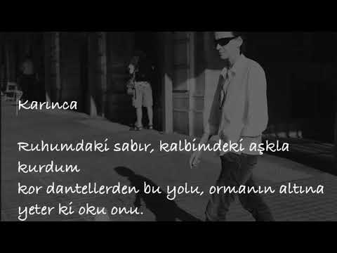 karınca - birhan keskin