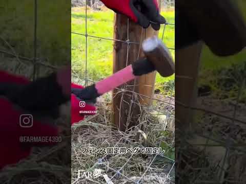 イノシシを撃退する方法 自然な庭の冬のヒント