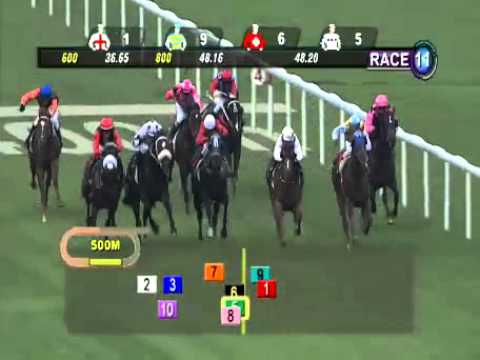 SINGAPORE RACE 01/01/2014 RACE 11 - iAgencyNet.com