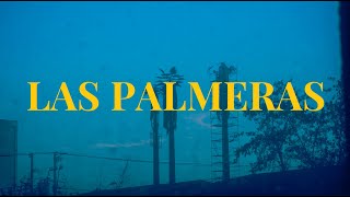Las Palmeras (Documental Niños del Cerro)