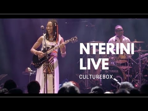 Fatoumata Diawara Nterini Live @Le Trianon