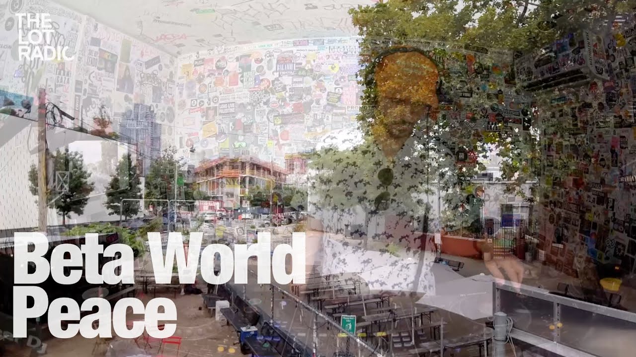 Unknown Artist - Beta World Peace