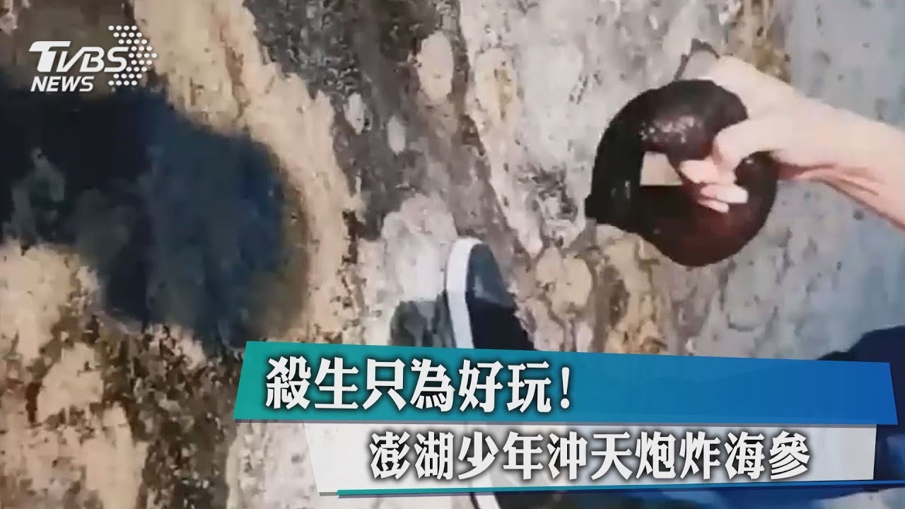 殺生只為好玩! 澎湖少年沖天炮炸海參