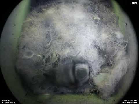 8 Jun (day 419) 6:04am