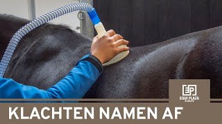 Het resultaat na Nano CellCare therapie bij paard Bijou