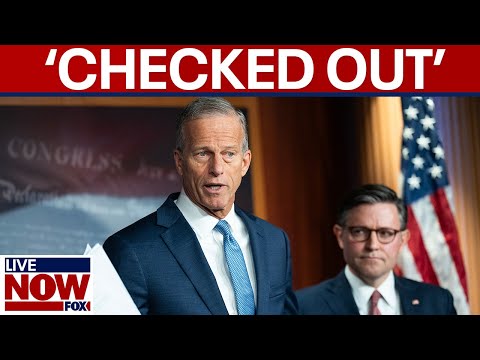 Video | Thune says Schumer is ‘checked out’ in regard to a shutdown deal | LiveNOW from FOX