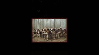 Download lagu kaum anjing vs kaum kucing mana yang akan menang ? kucing lah masa anjing 😂😼 mp3 Download lagu kaum anjing vs kaum kucing mana yang akan menang ? kucing lah masa anjing 😂😼 mp3