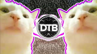 Cover art for Cat Vibing Meme