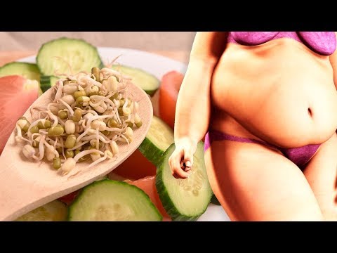 download lagu mp3 mp4 Lipase P Foods, download lagu Lipase P Foods gratis, unduh video klip Lipase P Foods