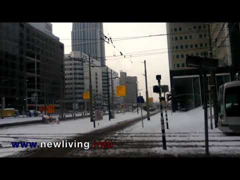 Weena - Rotterdam Centraal