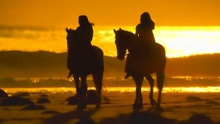 Happy Trails - Van Halen (lyrics) HD