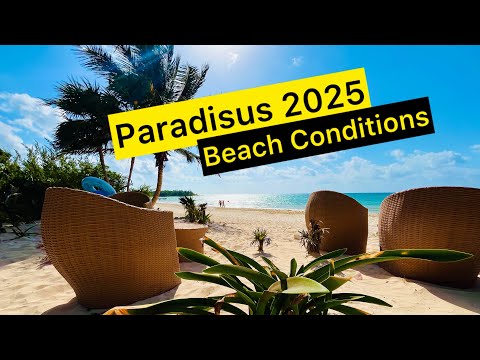 Playa Del Carmen│Paradisus, Playa 72, Punta Esmeralda Sargassum and Beach Update!
