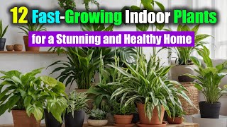 12 Fast-Growing Indoor Plants for a Stunning and Healthy Home | Anyone Can Grow