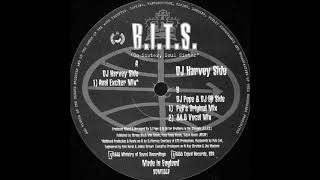 Brothers In The Struggle - Go Sister, Soul Sister (Anal Exciter Mix)