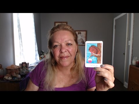 Your  Daily Focus for August 4,  2016