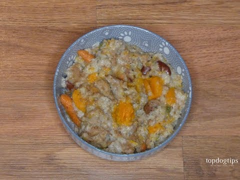 download lagu mp3 mp4 Is Squash Good For Dogs To Eat, download lagu Is Squash Good For Dogs To Eat gratis, unduh video klip Is Squash Good For Dogs To Eat