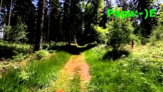 preview picture of video 'Nationalpark Schwarzwald - Wanderung Forbach bis Bad Herrenalb'