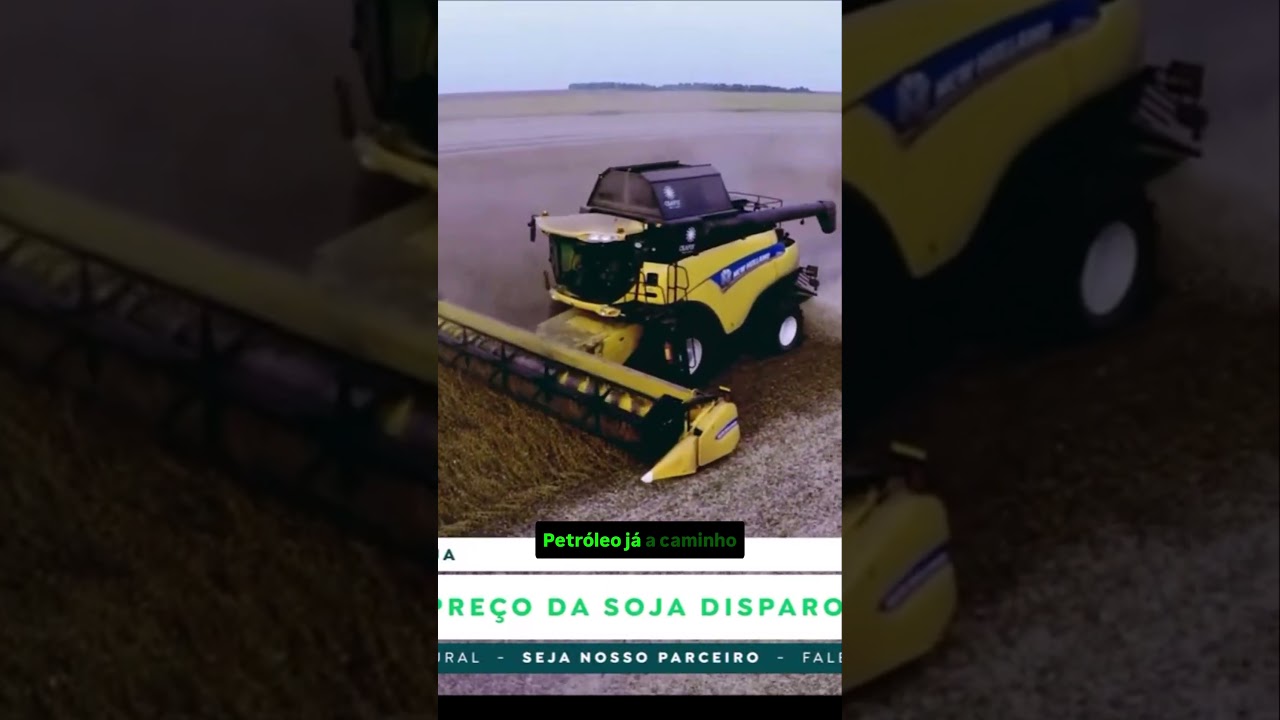 Por que o preço da soja disparou nos portos?