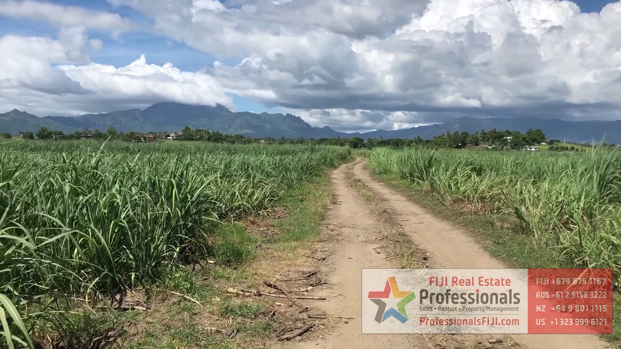 Amazing Agricultural Opportunity -- Votualevu (Nadi) Farm Land For Sale