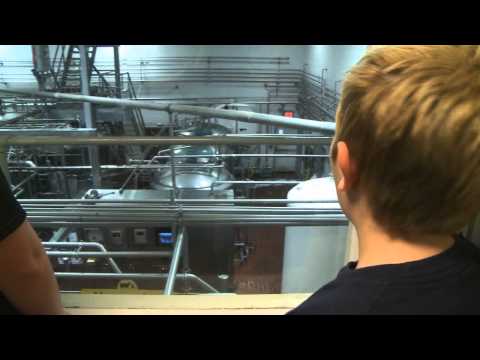 download lagu mp3 mp4 Blue Bell Products, download lagu Blue Bell Products gratis, unduh video klip Blue Bell Products