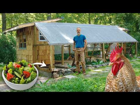 5 Months. 1 Man = Dream Chicken Coop (Complete With SALAD BAR)