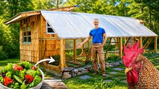 5 Months. 1 Man = Dream Chicken Coop with a SALAD BAR!