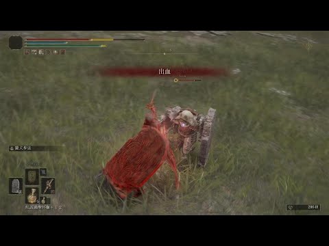 ELDEN RING same build