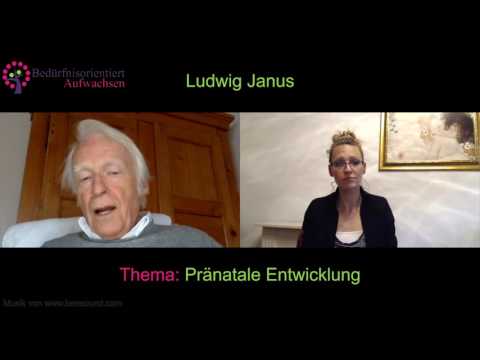 (Trailer) Sarah & Ludwig Janus - Thema: Pränatale Entwicklung