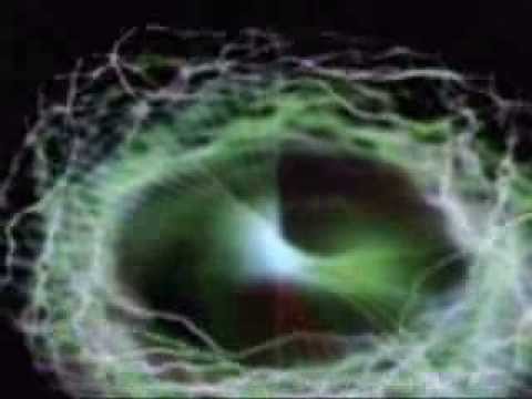 Steve Aguirre -Element Powercord- Impact Time