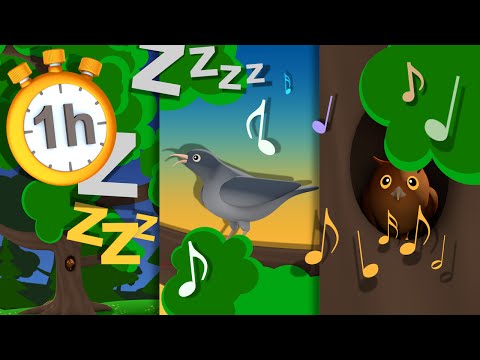 download lagu mp3 mp4 Comptines Tv, download lagu Comptines Tv gratis, unduh video klip Download Comptines Tv Mp3 dan Mp4 Popular Gratis