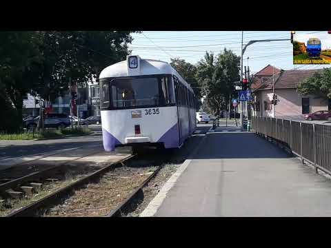 Tramvaie în Timișoara 🚊🚋/ Tram in Timișoara 🚊🚋