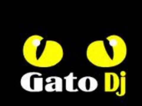 EL TAO TAO REMIX DJ GATO!!!