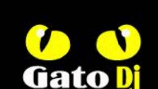 EL TAO TAO REMIX DJ GATO!!!
