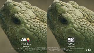 AV1 vs AVC | Intel's data center GPU (codenamed Arctic Sound-M)