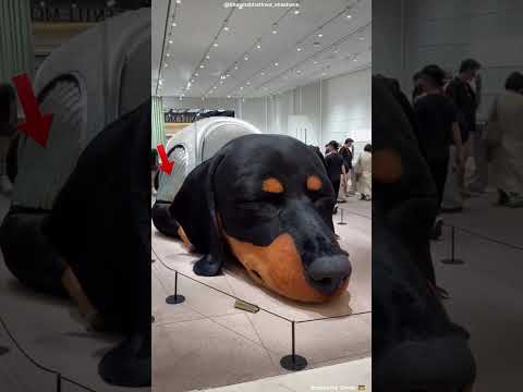 🐶 Giant Sleeping Dog Everyone Thought Was a Statue! 😱 #shortvideo