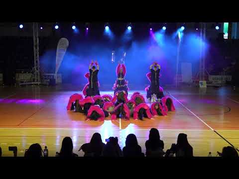 Tancer cup Zlín 19.4.2025- M Dance crew KM - No Leash