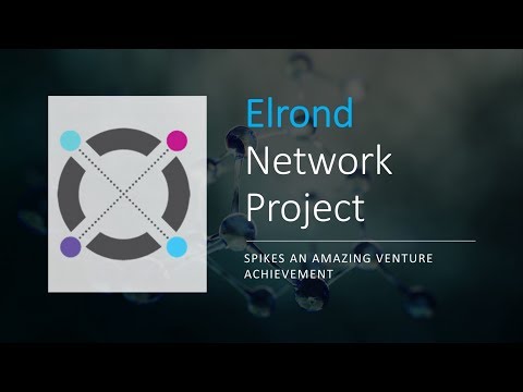 Elrond Network - Революция в мире цифровых технологий