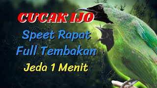 Download lagu TERBARU!! MASTERAN CUCAK IJO JEDA 1 MENIT | MUDAH DI TIRU mp3