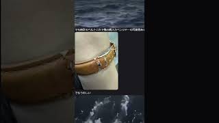 何か相続した人  #ゲーム実況 #memes