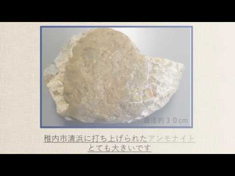 Restos de restos en la costa de Wakkanai